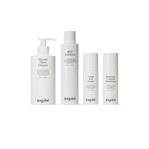 Blemishes Regimen, de fyra produkterna i rutinen